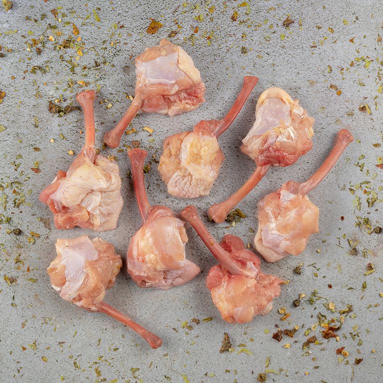 621469-tulipa-invertida-temperada_1 621469-tulipa-invertida-temperada_1