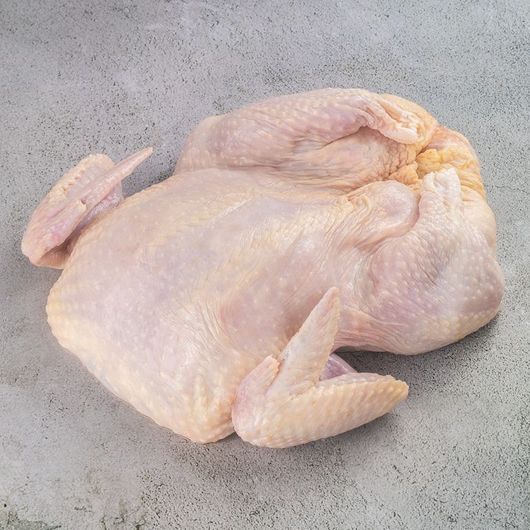 622036-frango-desossado-copacol_1 622036-frango-desossado-copacol_1