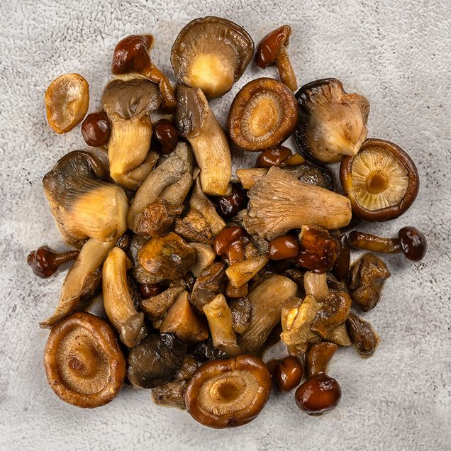 620159-mix-de-cogumelos_1 620159-mix-de-cogumelos_1