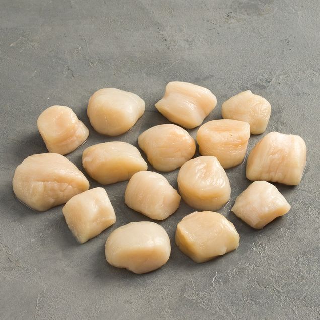 617574-vieira_inn 617574-vieira_inn