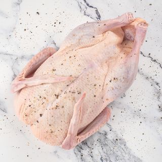 Pato Inteiro Swift de 2,2kg a 2,9kg