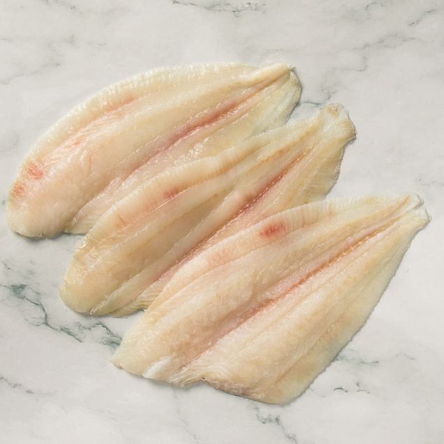 618332-file-de-linguado_inn 618332-file-de-linguado_inn