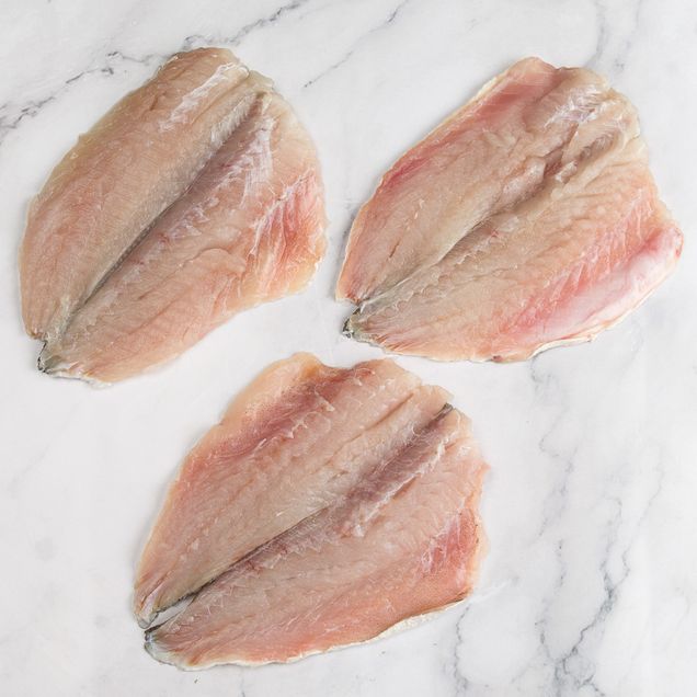 622869-file-pescada-espalmada-costa-sul_inn 622869-file-pescada-espalmada-costa-sul_inn