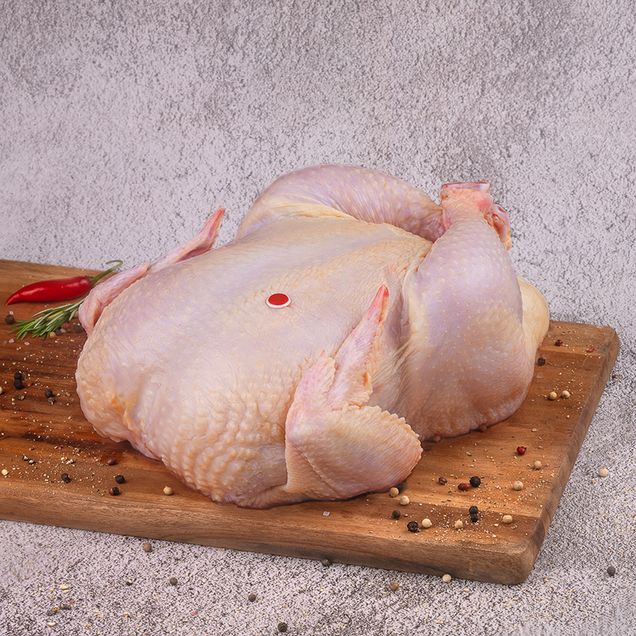 620977-ave-natalina-festive_inn 620977-ave-natalina-festive_inn