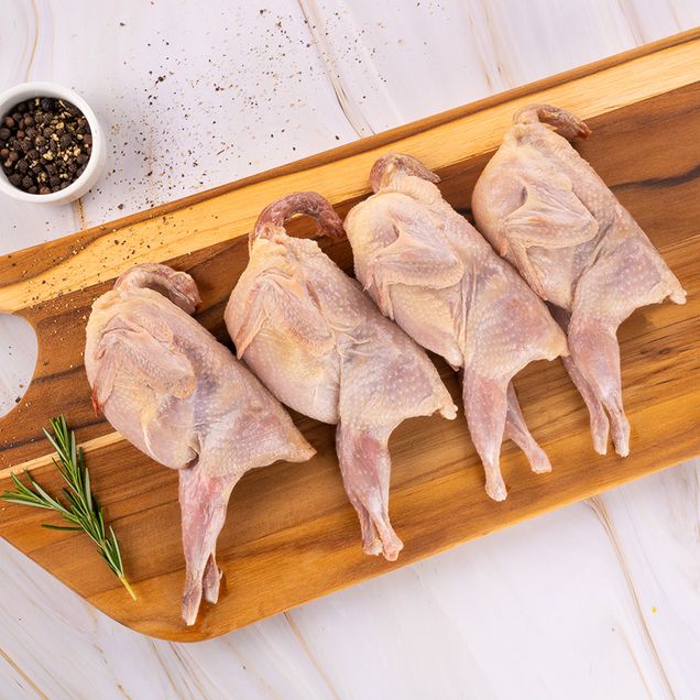 623213-codorna-villa-germania_inn 623213-codorna-villa-germania_inn