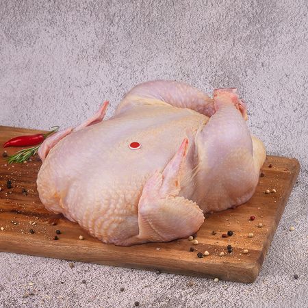 620977-ave-natalina-festive_inn