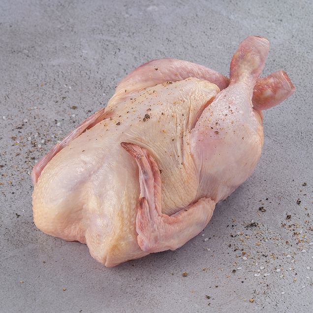 617345-galeto-swift-congelado_inn