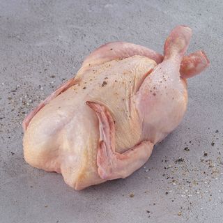 Galeto Swift Congelado de 0,5kg a 0,8kg