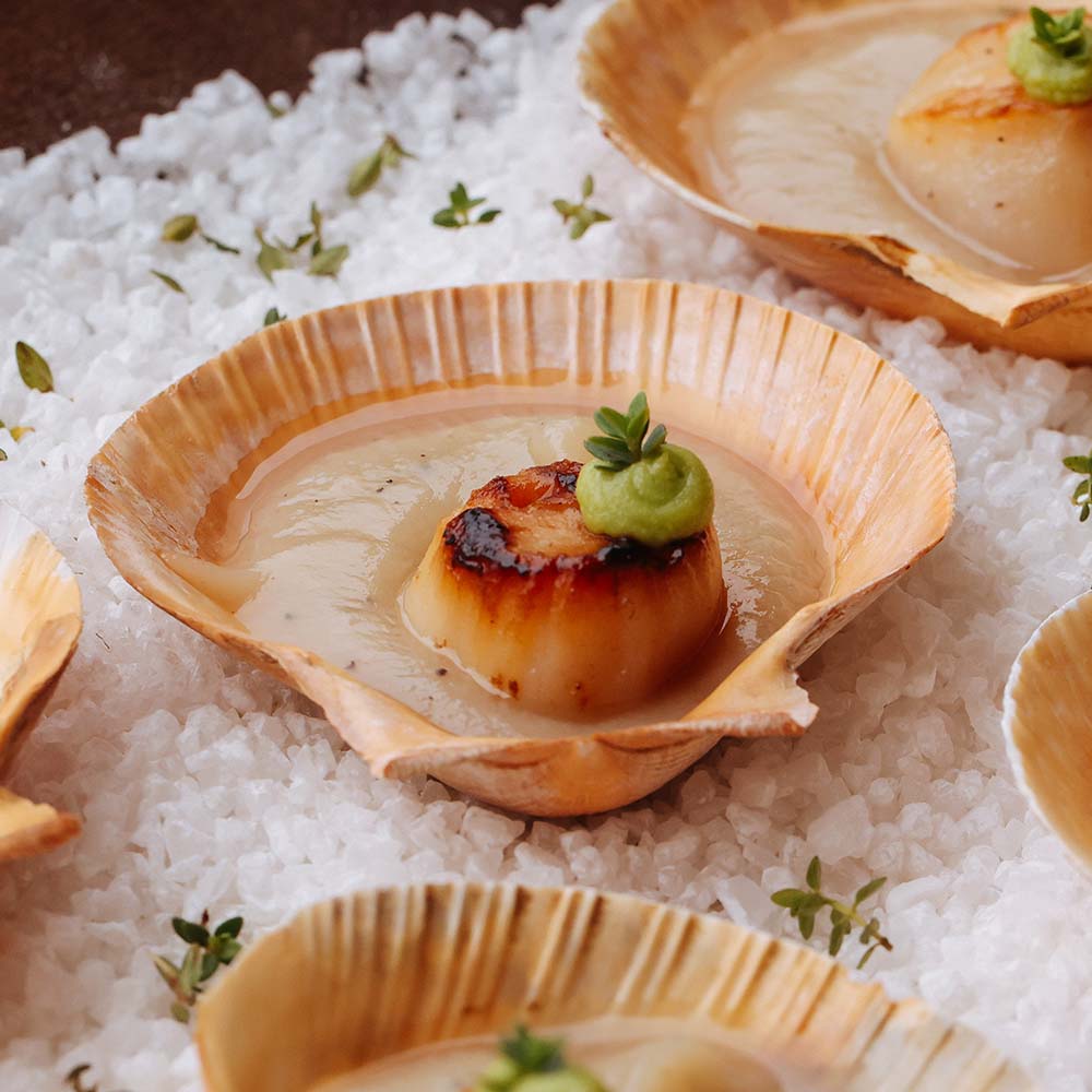 Vieiras Servidas na Concha com Vichyssoise